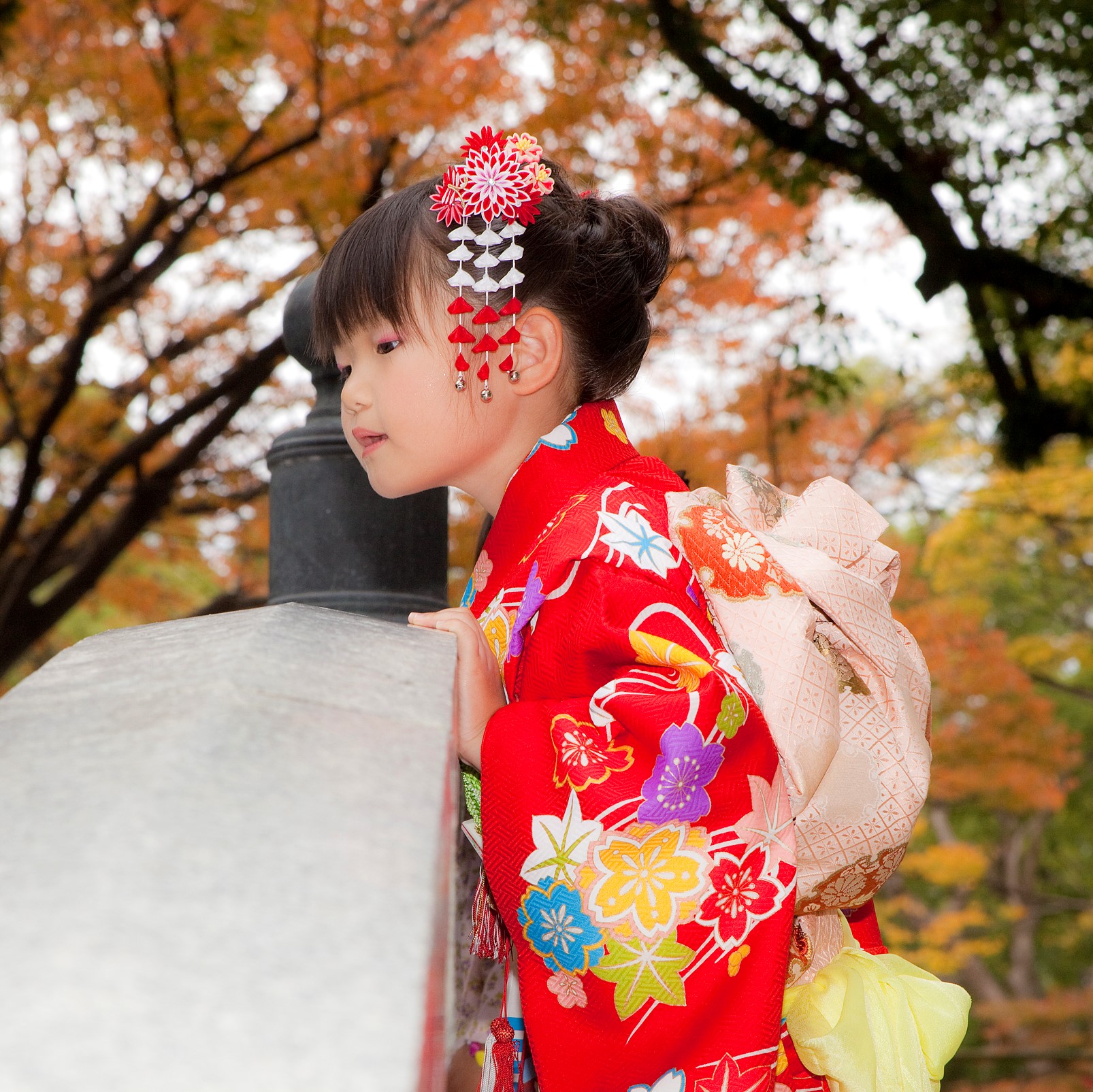 クリスマスツリー特価 着物 3歳 女の子 753 専用 お宮参り 七五三 祝い着 七五三 Alrc Asia クリスマスツリー特価 着物 3歳 女の子 753 専用 お宮参り 七五三 祝い着 七五三 Alrc Asia